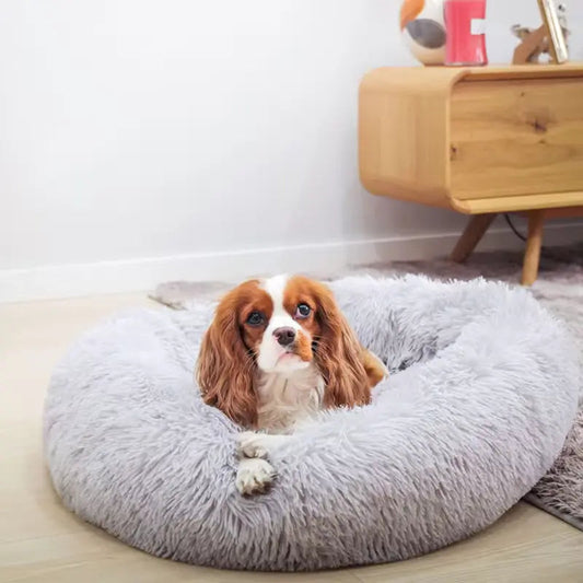 anti anxiety dog bed