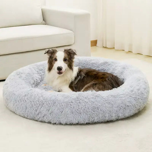 anxiety beds for dogs