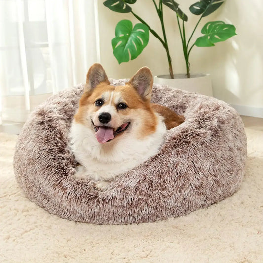 anxiety pet bed