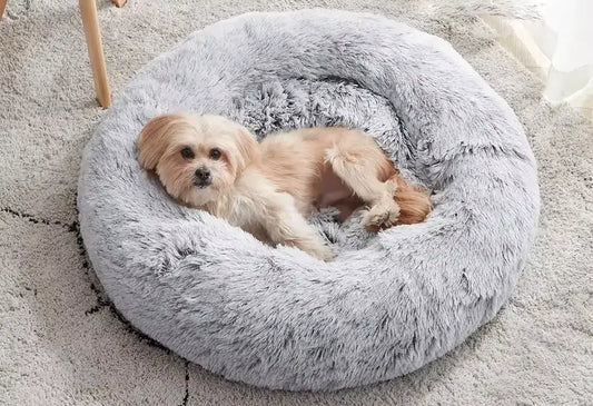 Why Investing in a Calming Dog Bed from Calm Dog Beds UK is the Best Choice for Your Pet's Wellbeing