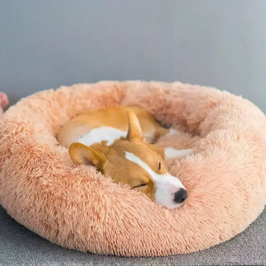 best calming dog bed