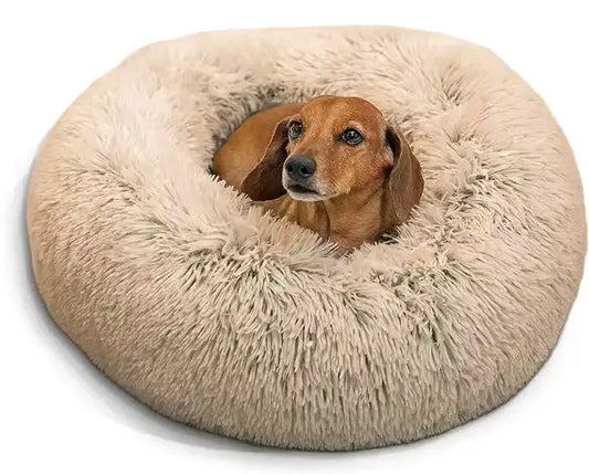 calming bed