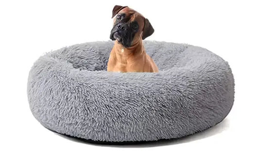 dog bed anxiety