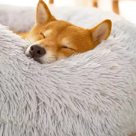 dog bed calming