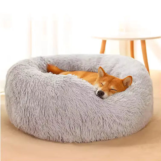 fluffy dog bed