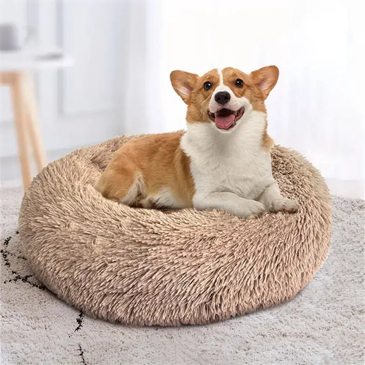 pet anxiety bed