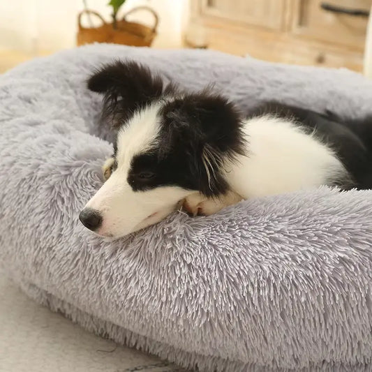 stress dog bed