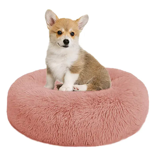 stress free dog bed
