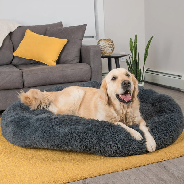 Answers to the Most Frequently Asked Questions About Calming Dog Beds