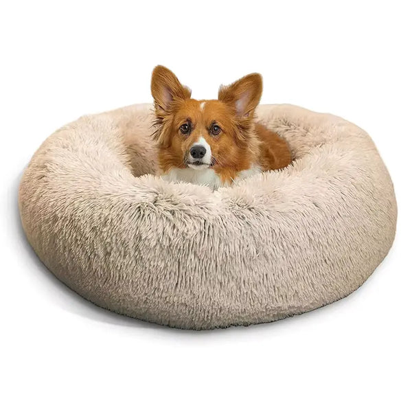 Do Anti-Anxiety Dog Beds Work? Discover Why They’re Worth Every Penny