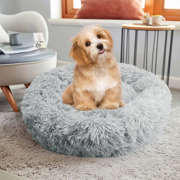 How Can an Anti-Anxiety Bed Help Relieve Stress in Pets?