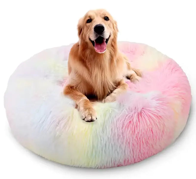 The Take of UK Experts on the Benefits of Calming Dog Beds