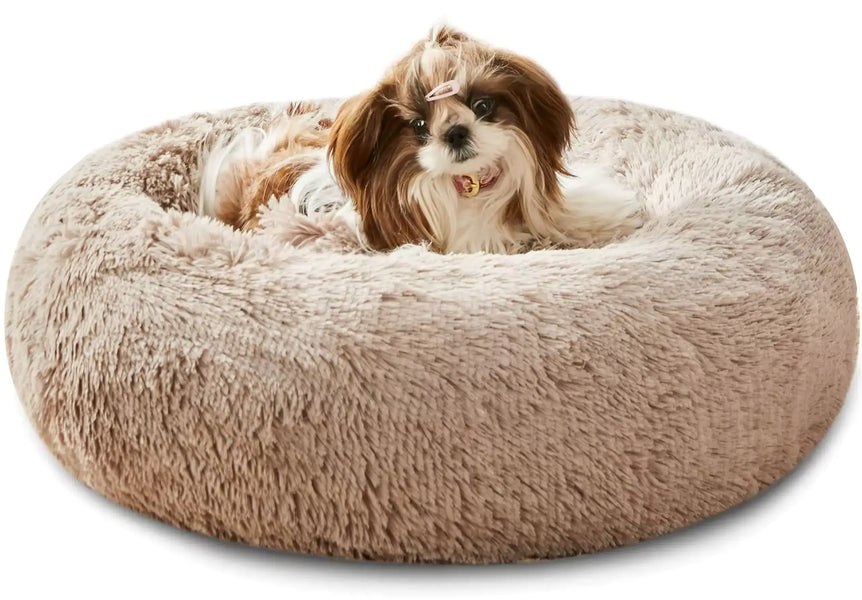 How to Choose the Calming Dog Bed Best for Your Pet