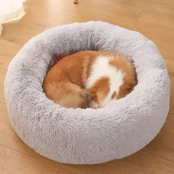 Ease Your Pet’s Stress with a Calming Dog Bed