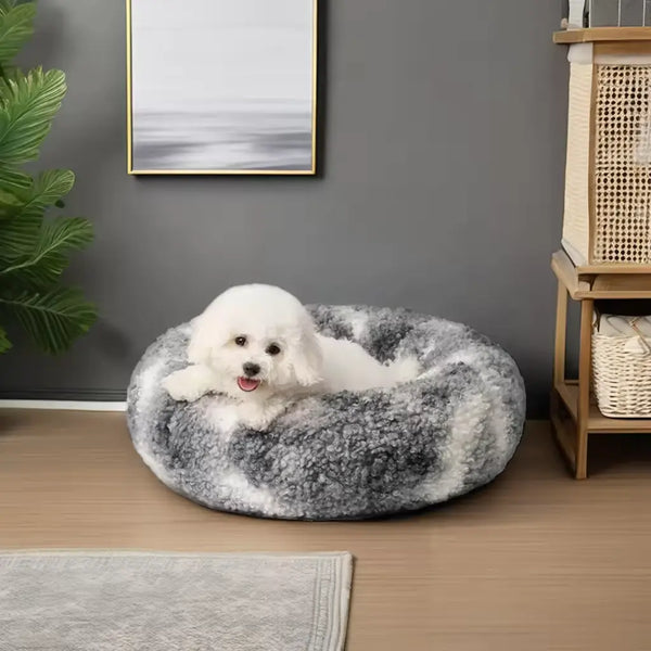 Who Sells the Best Calming Dog Bed in the UK? Discover Why Calm Dog Beds UK is Your Top Choice!