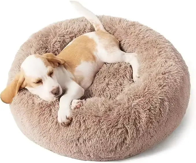 What is the Proof that Calming Dog Beds Work?