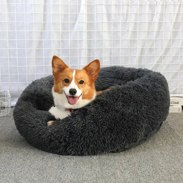 Four Steps to Select the Perfect Calming Dog Bed