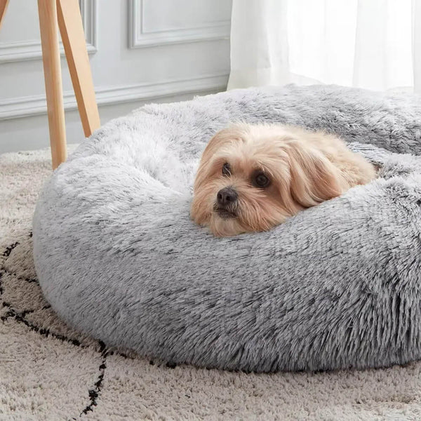 Do Calming Dog Beds Really Work? In-Depth Review and Benefits for Your Pet