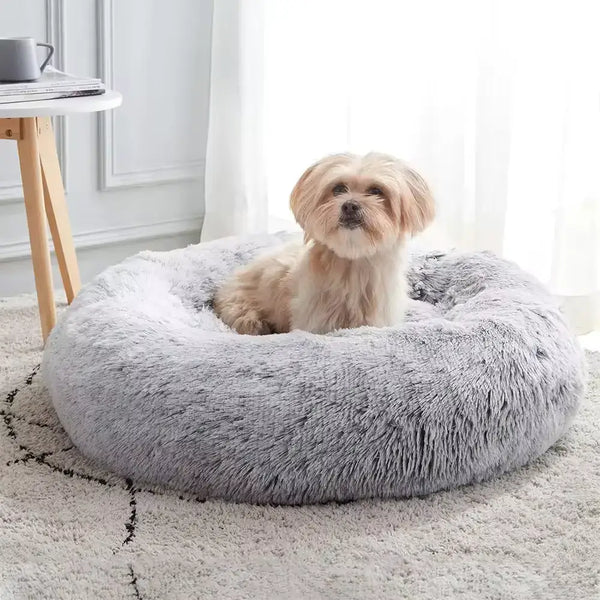 Is an Anti-Anxiety Dog Bed Effective for My Anxious Pooch?