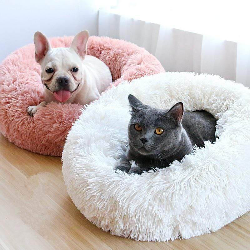 calming dog beds